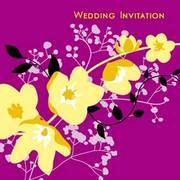 paperhello wedding invitations and social stationery